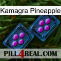 Kamagra Pineapple 03